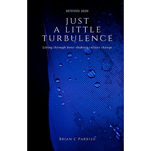 Just a Little Turbulence: Living Through Bone-Shaking Culture Change, Brian S. Parrish