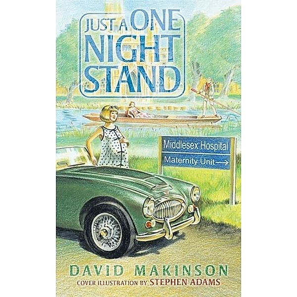 Just a One Night Stand / David Makinson, David Makinson