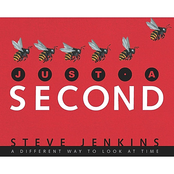 Just a Second, Steve Jenkins