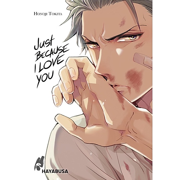 Just Because I Love you / Hayabusa, Honoji Tokita