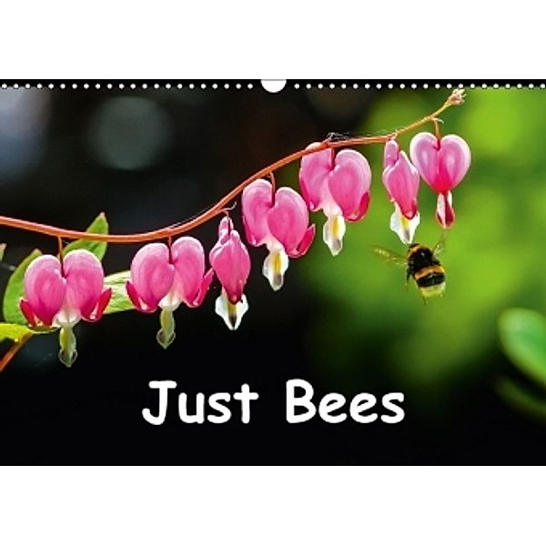 Just Bees (Wall Calendar 2017 DIN A3 Landscape), Dalyn