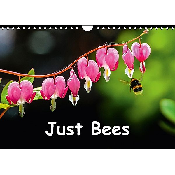 Just Bees (Wall Calendar 2018 DIN A4 Landscape), Dalyn