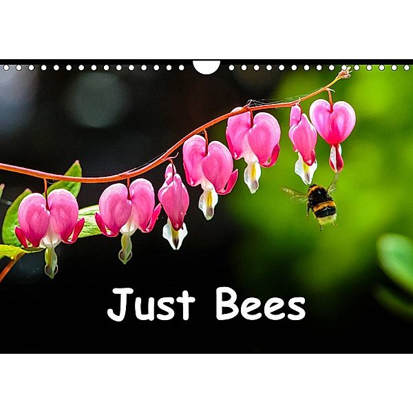 Just Bees (Wall Calendar 2023 DIN A4 Landscape), Dalyn
