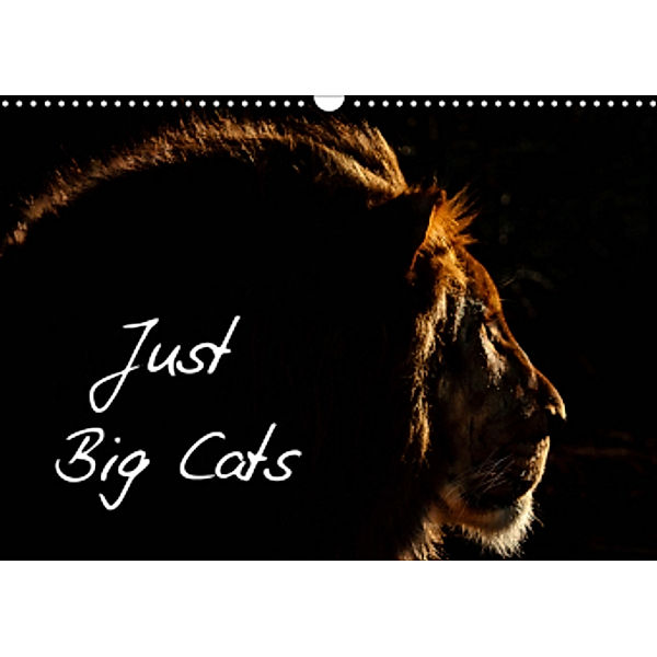 Just Big Cats (Wall Calendar 2021 DIN A3 Landscape)