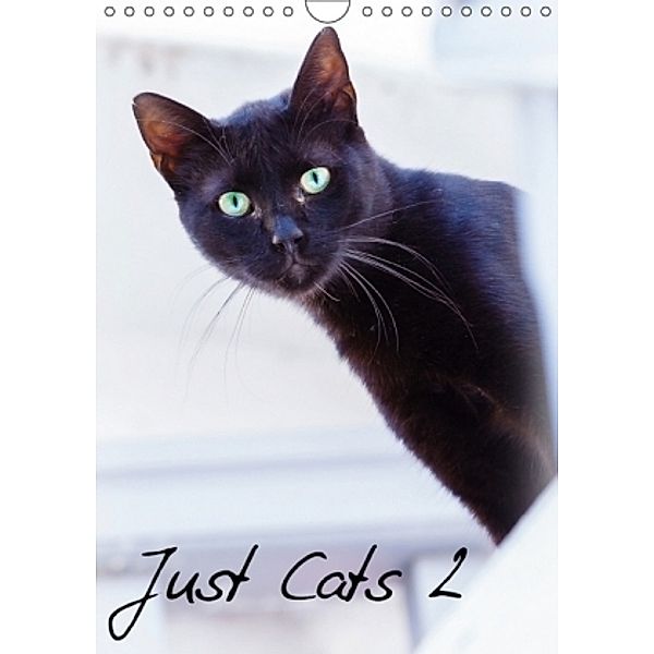 Just Cats 2 (Wall Calendar 2017 DIN A4 Portrait), Dalyn