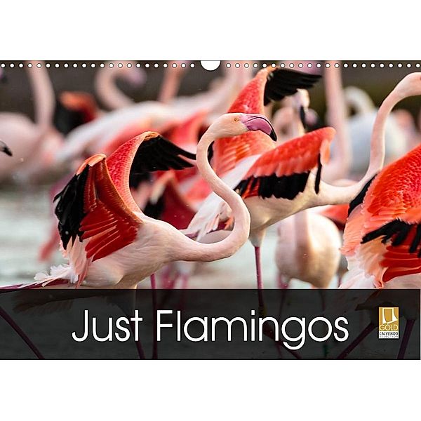 Just Flamingos (Wall Calendar 2023 DIN A3 Landscape), Dalyn