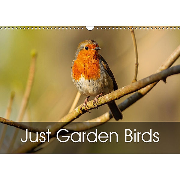 Just Garden Birds (Wall Calendar 2019 DIN A3 Landscape), Dalyn