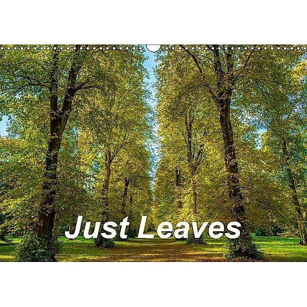 Just Leaves (Wall Calendar 2019 DIN A3 Landscape), Dalyn