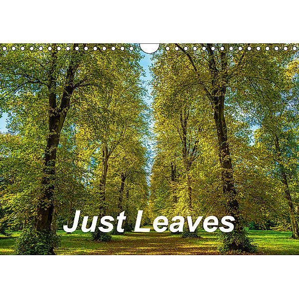 Just Leaves (Wall Calendar 2019 DIN A4 Landscape), Dalyn