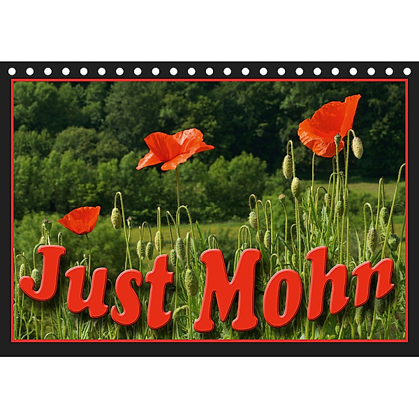 Just Mohn (Tischkalender 2019 DIN A5 quer), flori0