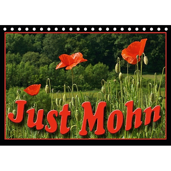 Just Mohn (Tischkalender 2021 DIN A5 quer), Flori0