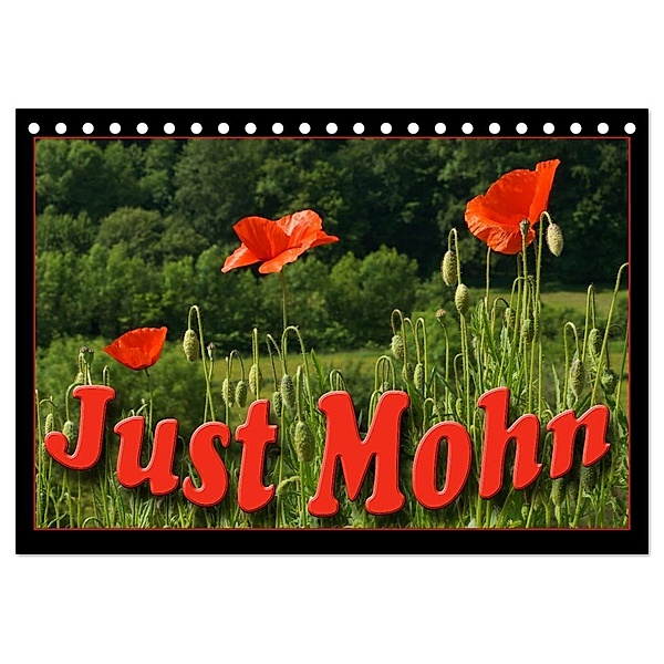 Just Mohn (Tischkalender 2024 DIN A5 quer), CALVENDO Monatskalender, Flori0