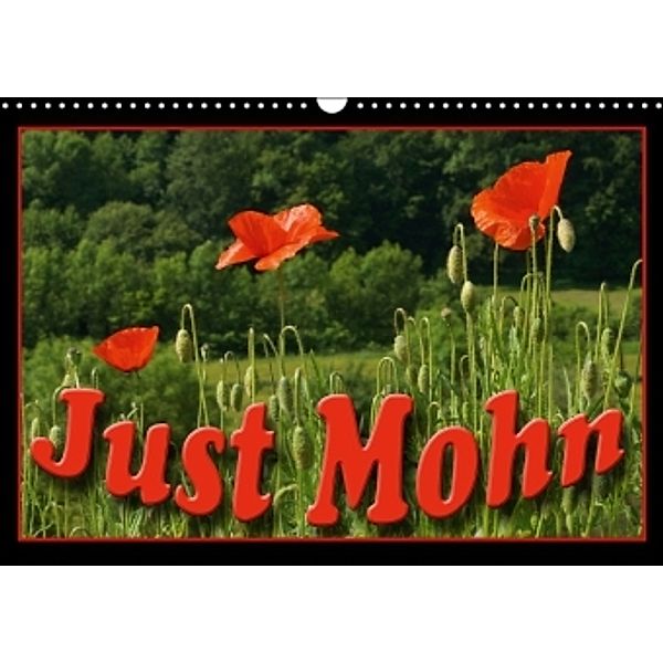 Just Mohn (Wandkalender 2014 DIN A3 quer), Flori0