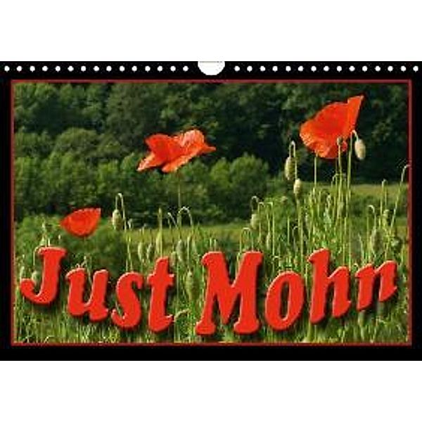 Just Mohn (Wandkalender 2016 DIN A4 quer), Flori0