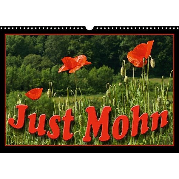 Just Mohn (Wandkalender 2017 DIN A3 quer), flori0, k.A. Flori0