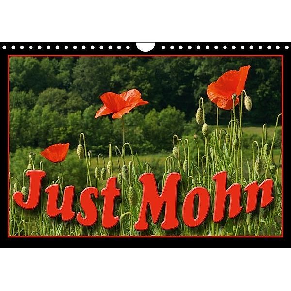 Just Mohn (Wandkalender 2017 DIN A4 quer), Flori0, k.A. Flori0