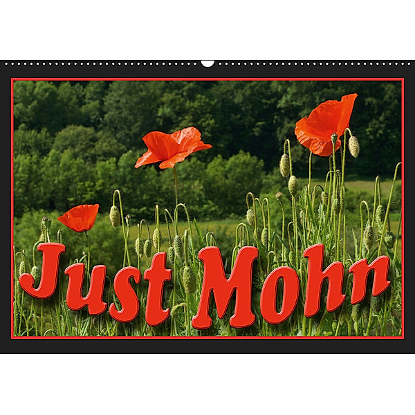 Just Mohn (Wandkalender 2019 DIN A2 quer), Flori0