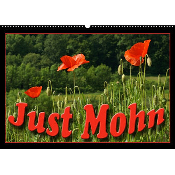 Just Mohn (Wandkalender 2022 DIN A2 quer), Flori0