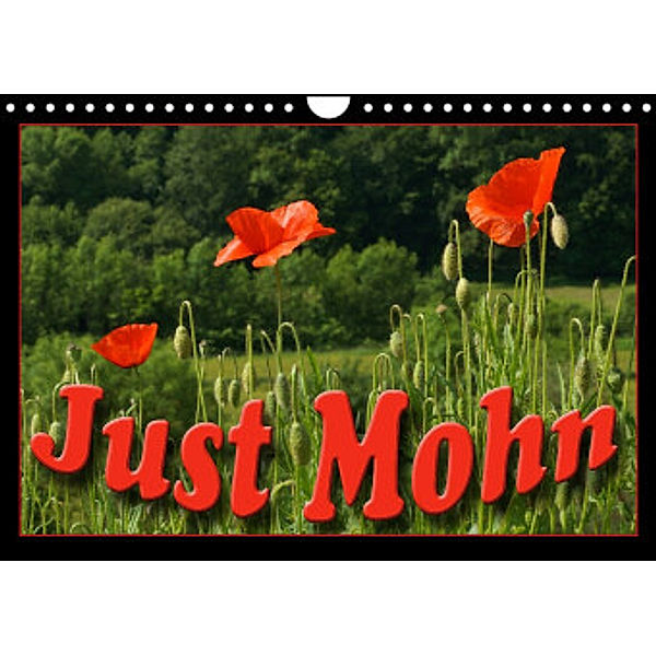 Just Mohn (Wandkalender 2022 DIN A4 quer), Flori0