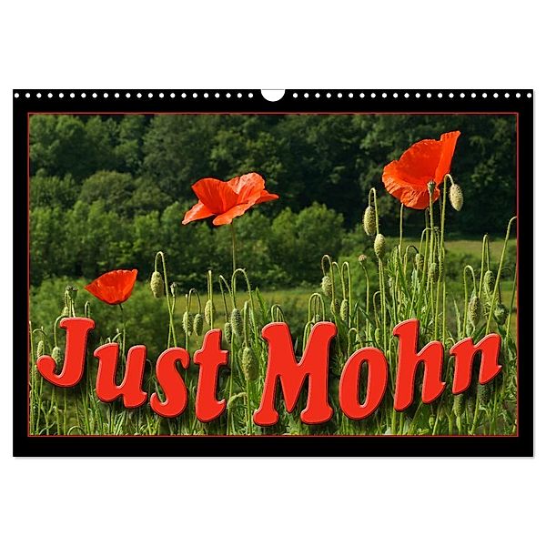 Just Mohn (Wandkalender 2024 DIN A3 quer), CALVENDO Monatskalender, Flori0