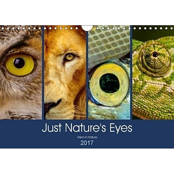 Just Nature's Eyes (Wall Calendar 2017 DIN A4 Landscape), Dalyn