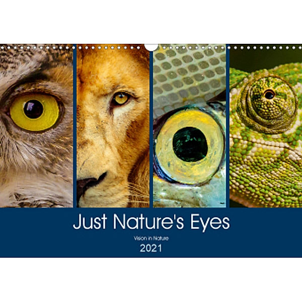 Just Nature's Eyes (Wall Calendar 2021 DIN A3 Landscape)