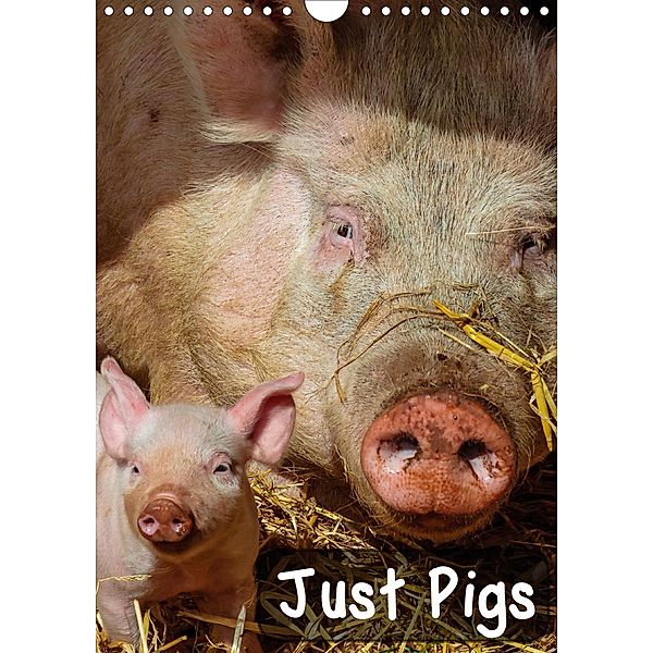 Just Pigs (Wall Calendar 2021 DIN A4 Portrait)