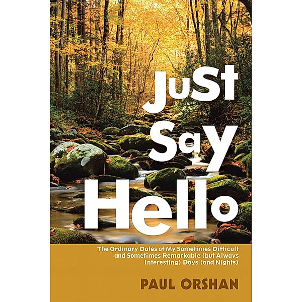 Just Say Hello, Paul Orshan