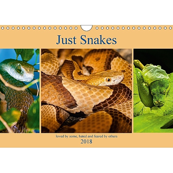 Just Snakes (Wall Calendar 2018 DIN A4 Landscape), Dalyn