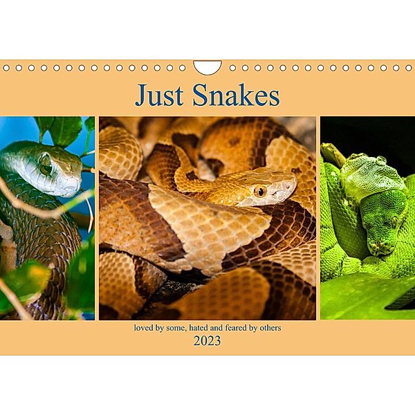 Just Snakes (Wall Calendar 2023 DIN A4 Landscape), Dalyn