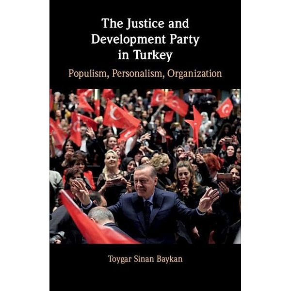 Justice and Development Party in Turkey, Toygar Sinan Baykan
