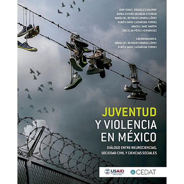 Juventud y violencia en México, María del Refugio Esparza López, Rubén David Castañeda Torres, José Igor Israel González Aguirre, Aurea Esther Grijalva Eternod, Araceli Sanz Martín, Gricelda Pérez Hernández