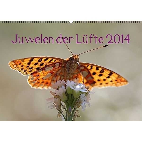 Juwelen der Lüfte 2014 (Wandkalender 2014 DIN A2 quer), Bernd Witkowski