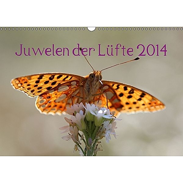 Juwelen der Lüfte 2014 (Wandkalender 2014 DIN A3 quer), Bernd Witkowski