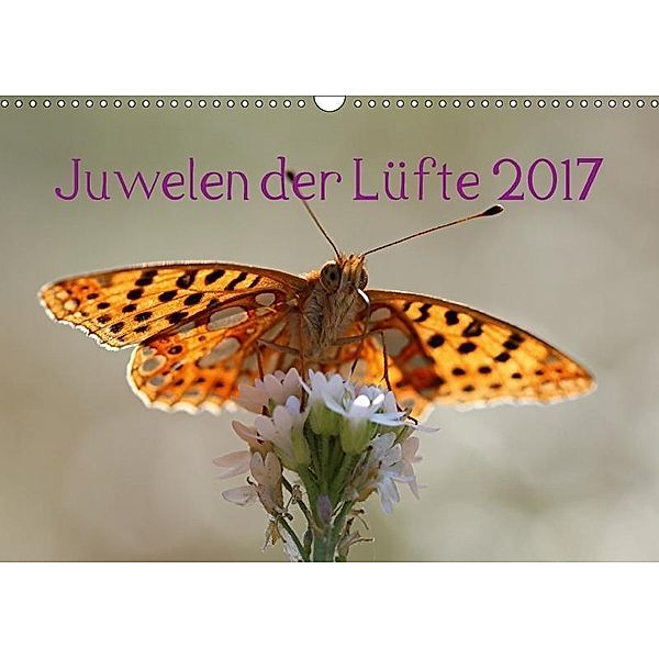 Juwelen der Lüfte 2017 (Wandkalender 2017 DIN A3 quer), Bernd Witkowski