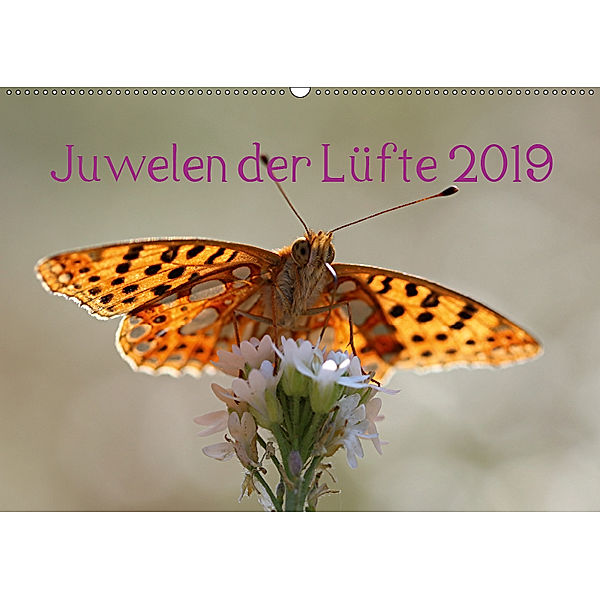 Juwelen der Lüfte 2019 (Wandkalender 2019 DIN A2 quer), Bernd Witkowski
