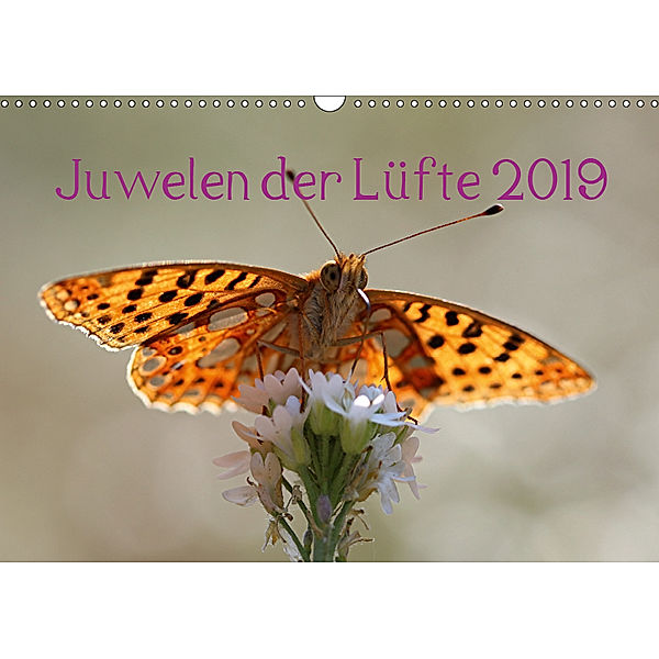 Juwelen der Lüfte 2019 (Wandkalender 2019 DIN A3 quer), Bernd Witkowski