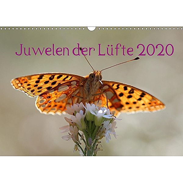 Juwelen der Lüfte 2020 (Wandkalender 2020 DIN A3 quer), Bernd Witkowski