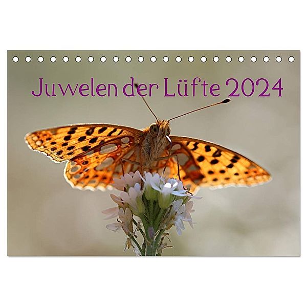 Juwelen der Lüfte 2024 (Tischkalender 2024 DIN A5 quer), CALVENDO Monatskalender, Bernd Witkowski