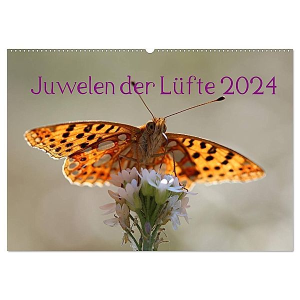 Juwelen der Lüfte 2024 (Wandkalender 2024 DIN A2 quer), CALVENDO Monatskalender, Bernd Witkowski