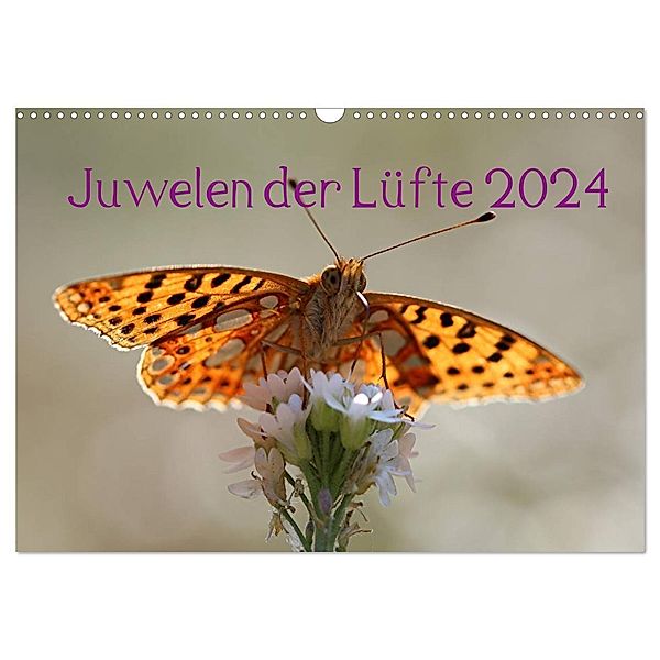 Juwelen der Lüfte 2024 (Wandkalender 2024 DIN A3 quer), CALVENDO Monatskalender, Bernd Witkowski