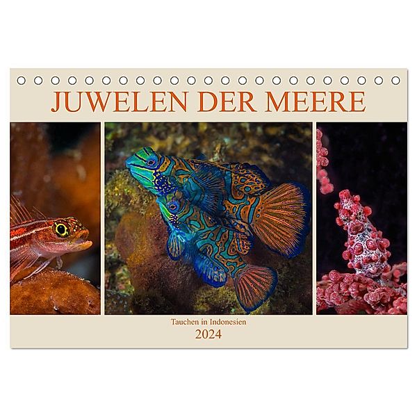 Juwelen der Meere (Tischkalender 2024 DIN A5 quer), CALVENDO Monatskalender, Dieter Gödecke