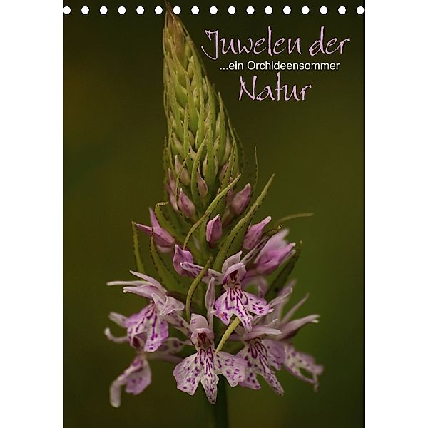 Juwelen der Natur - Ein Orchideensommer (Tischkalender 2018 DIN A5 hoch) Dieser erfolgreiche Kalender wurde dieses Jahr, Dirk Stamm