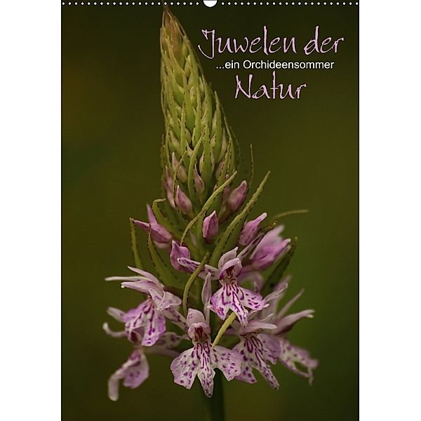 Juwelen der Natur - Ein Orchideensommer (Wandkalender 2018 DIN A2 hoch) Dieser erfolgreiche Kalender wurde dieses Jahr m, Dirk Stamm