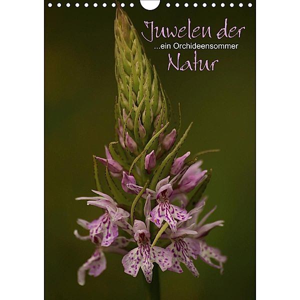 Juwelen der Natur - Ein Orchideensommer (Wandkalender 2020 DIN A4 hoch), Dirk Stamm