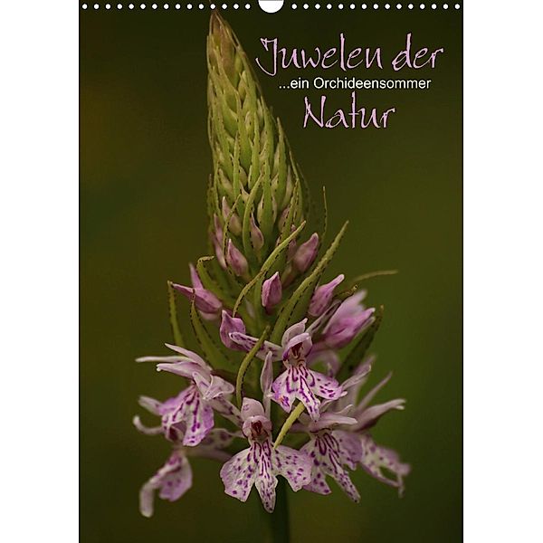 Juwelen der Natur - Ein Orchideensommer (Wandkalender 2020 DIN A3 hoch), Dirk Stamm