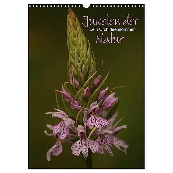 Juwelen der Natur - Ein Orchideensommer (Wandkalender 2024 DIN A3 hoch), CALVENDO Monatskalender, Dirk Stamm