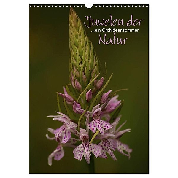 Juwelen der Natur - Ein Orchideensommer (Wandkalender 2025 DIN A3 hoch), CALVENDO Monatskalender, Calvendo, Dirk Stamm