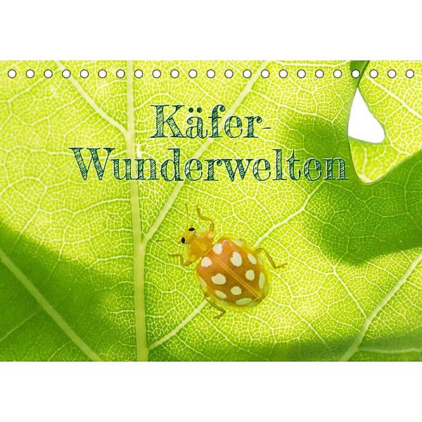 Käfer-Wunderwelten (Tischkalender 2023 DIN A5 quer), Carola Vahldiek