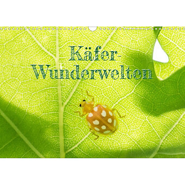 Käfer-Wunderwelten (Wandkalender 2022 DIN A3 quer), Carola Vahldiek